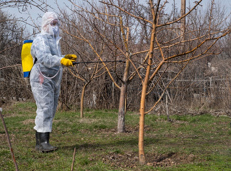 lemosó permetezés lemosó permetezés
