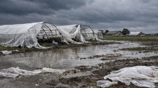 208 km/h-s szél és elöntött tározók: ezért borulhat a tavaszi zöldségpiac