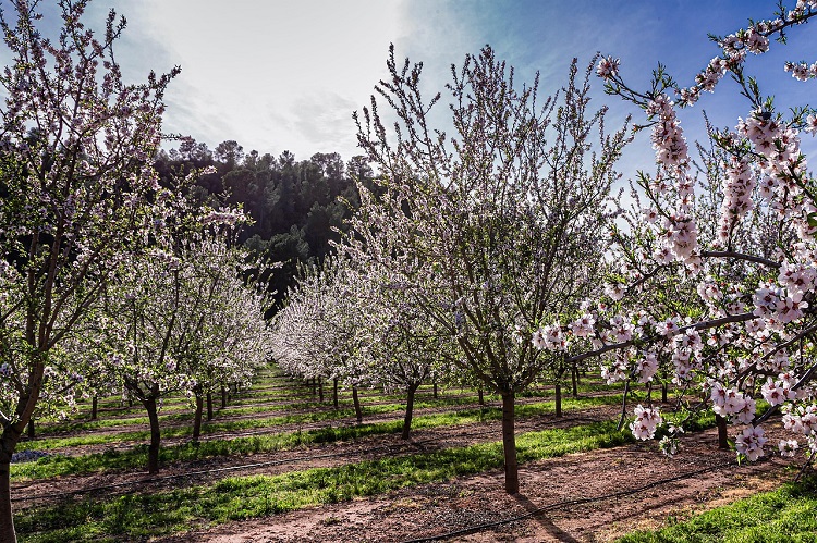 kártevők áttelelése
