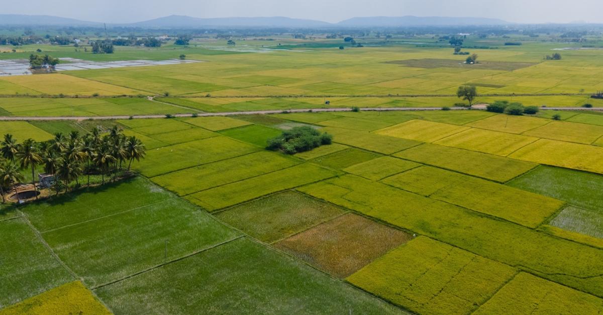 Új szereplők a piacon: már nem az a kérdés, mennyi föld van, hanem az, ki fér hozzá
