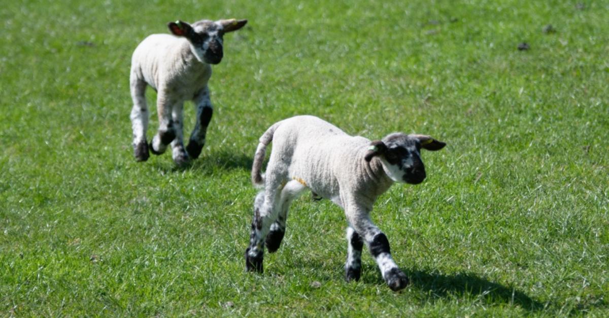 Ilyen időjárásra számíthatsz idén tavasszal!
