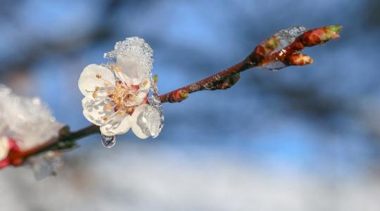 Ilyen időjárásra számíthatsz idén tavasszal!