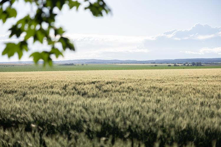 Magyar Fejlesztésösztönző Iroda 
