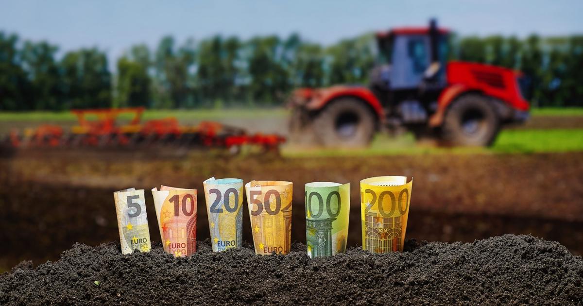 Több támogatás, gyorsabb kifizetés az őszi vetések előtt; ha bírja az állam