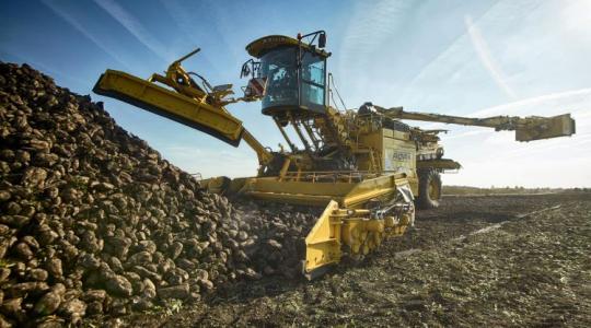 A nagyok már léptek: Területcsökkentést sürgetnek a feldolgozók Európa-szerte A nagyok már léptek: Területcsökkentést sürgetnek a feldolgozók Európa-szerte