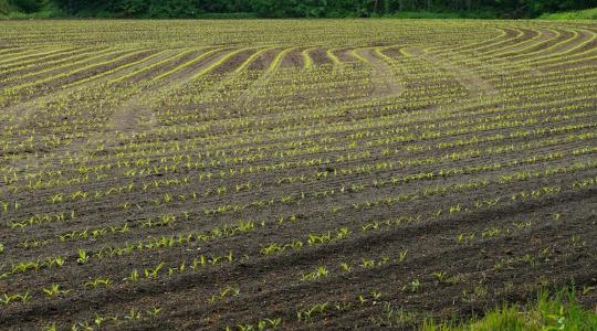 Talajvizsgálat szezon előtt – mit érdemes februárban megmérni?