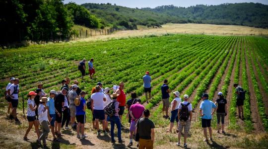 Van egy jó agrárötleted? Ezzel a pályázattal befektetőket is szerezhetsz hozzá Van egy jó agrárötleted? Ezzel a pályázattal befektetőket is szerezhetsz hozzá