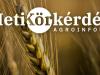 Új, ígéretes fajták a kalászosvetőmag-piacon – Heti Körkérdés
