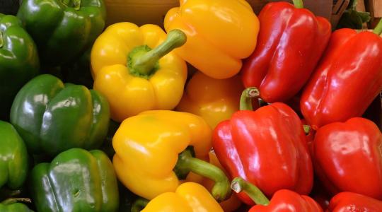 Több mint 40 százalékkal drágult a paprika – bizonytalan a folytatás Több mint 40 százalékkal drágult a paprika – bizonytalan a folytatás