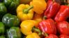 Több mint 40 százalékkal drágult a paprika – bizonytalan a folytatás