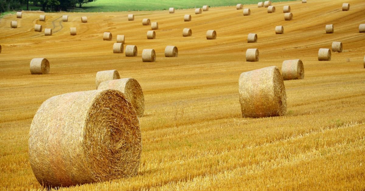 Időjárás: Tomboló hőségre kell készülni Időjárás: Tomboló hőségre kell készülni