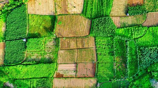 99 ezer tonna marhahús és vámmentes cukor: ezt hozza az uniós piacra a brazil óriás 99 ezer tonna marhahús és vámmentes cukor: ezt hozza az uniós piacra a brazil óriás