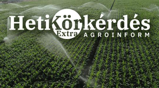 Kertészeti öntözéstechnológia: Mit takar a precizitás és az optimum elérése a kertészeti kultúrákban? – Heti Körkérdés Extra Kertészeti öntözéstechnológia: Mit takar a precizitás és az optimum elérése a kertészeti kultúrákban? – Heti Körkérdés Extra