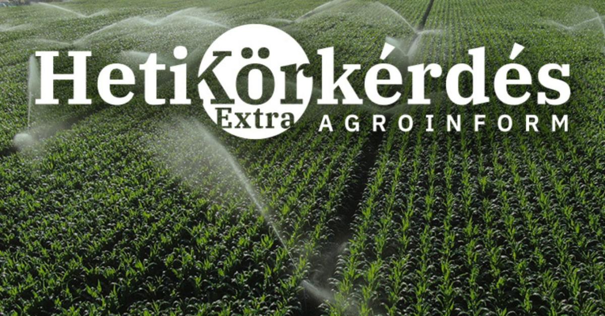 Kertészeti öntözéstechnológia: Mit takar a precizitás és az optimum elérése a kertészeti kultúrákban? – Heti Körkérdés Extra