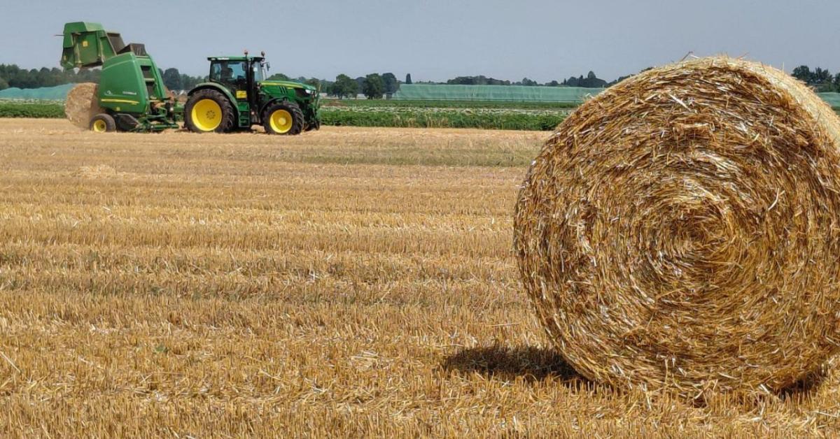 A családi gazdaságoké a jövő – de csak akkor, ha összefognak