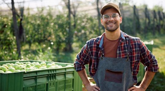 Már temették, de növekszik a mezőgazdaság súlya az EU-ban