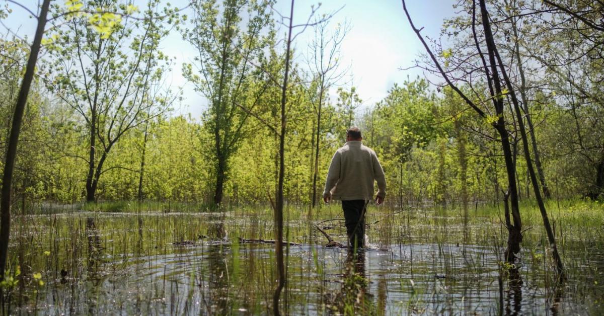 Több mint 200 ezer köbméter víz a talajban: így küzdenek az aszály ellen Szeged határában