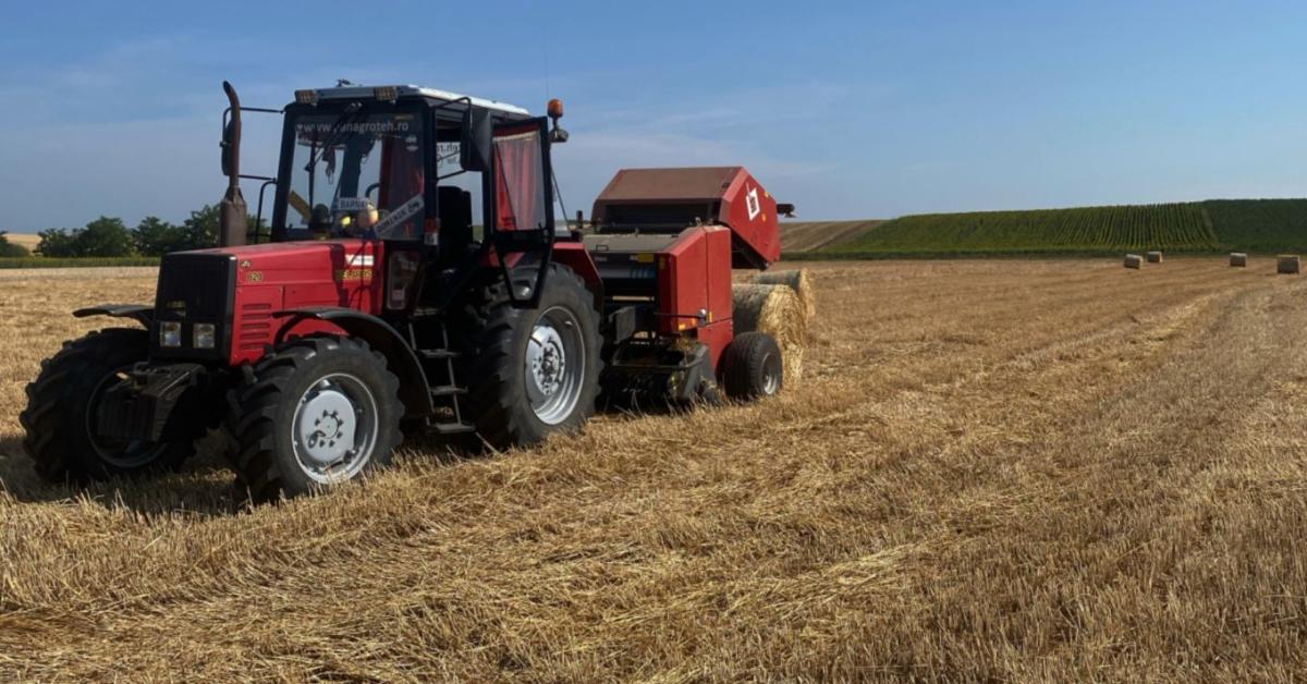 Nyári hőség, zivatarokkal tarkított időjárás vár ránk