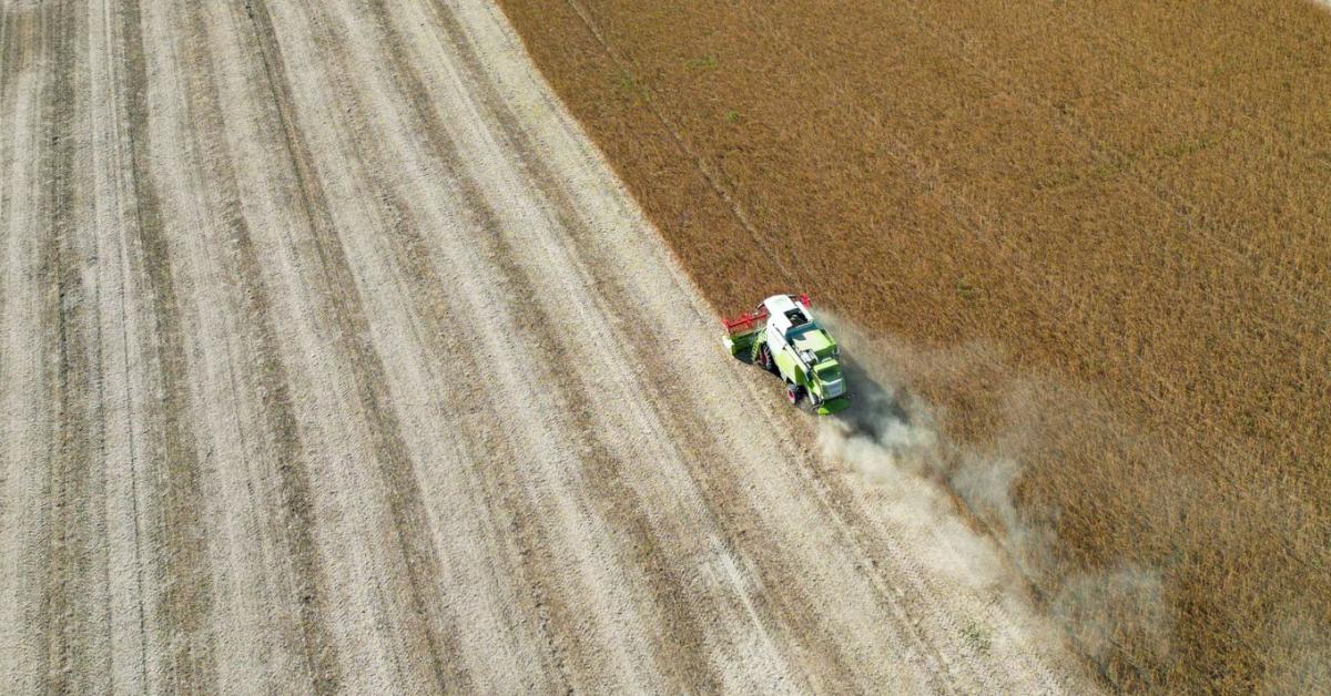 Bár ez nem vigasz, de a környező országokban sincs rózsás helyzetben az agrárium