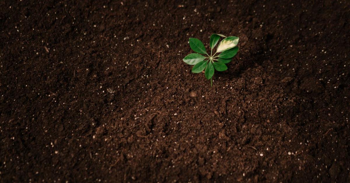 Új szemlélet a humuszról: mit jelent ez a gazdáknak?