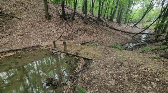 Lajtos kocsival hordják a vizet a vadnak – súlyos az aszály hatása Lajtos kocsival hordják a vizet a vadnak – súlyos az aszály hatása