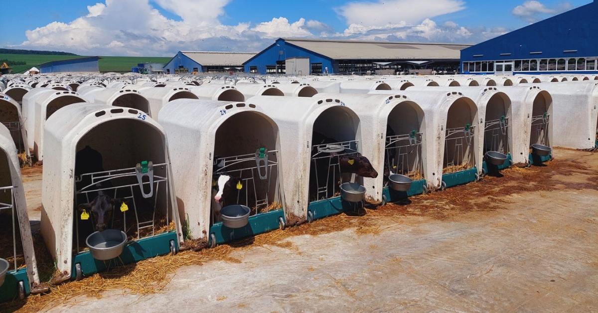18 ezer tehén mellé épít új birodalmat a tejóriás a szomszédban 18 ezer tehén mellé épít új birodalmat a tejóriás a szomszédban