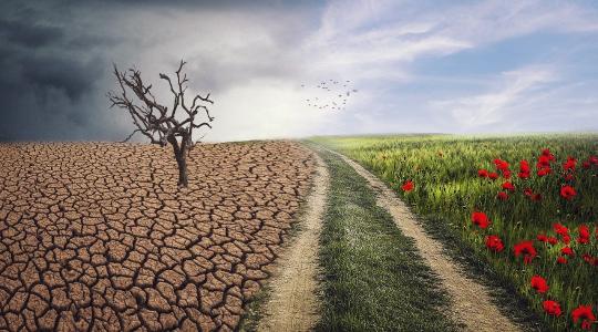 A kutatók szerint ez már nem sci-fi: Olyan korszak jön, amit ember még nem látott