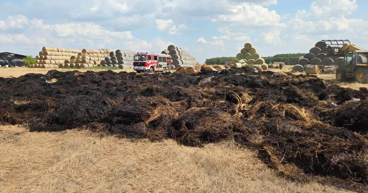 3 ezer bála égett porig, állatok is elpusztulhattak a hétvégi brutális tűzben