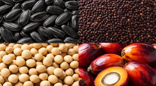 Nem nőnek tovább a növényolajárak Nem nőnek tovább a növényolajárak