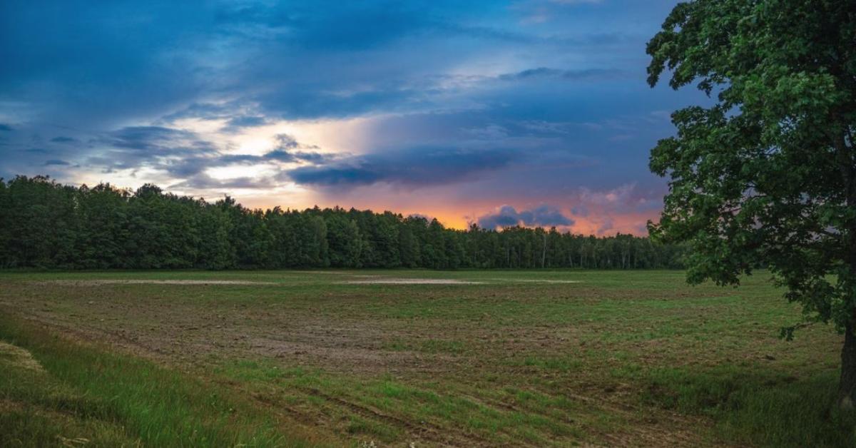 Miért maradnak el a záporok és zivatarok az Alföldön?