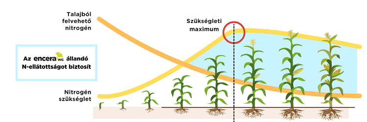 körkérdés körkérdés