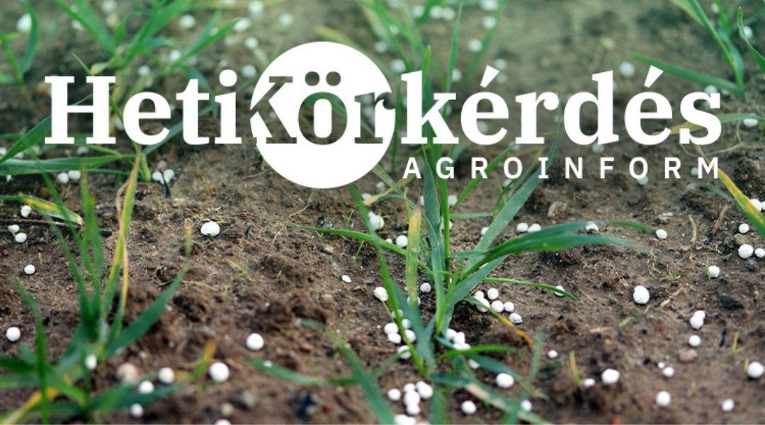 A nitrogén-menedzsment üdvöskéi – Heti Körkérdés