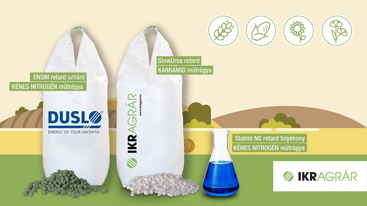 körkérdés körkérdés