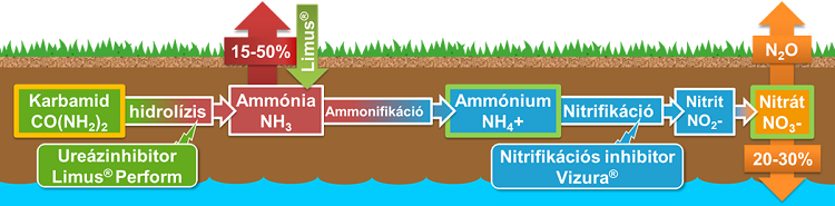 körkérdés körkérdés