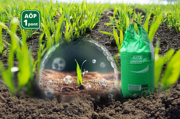 körkérdés körkérdés