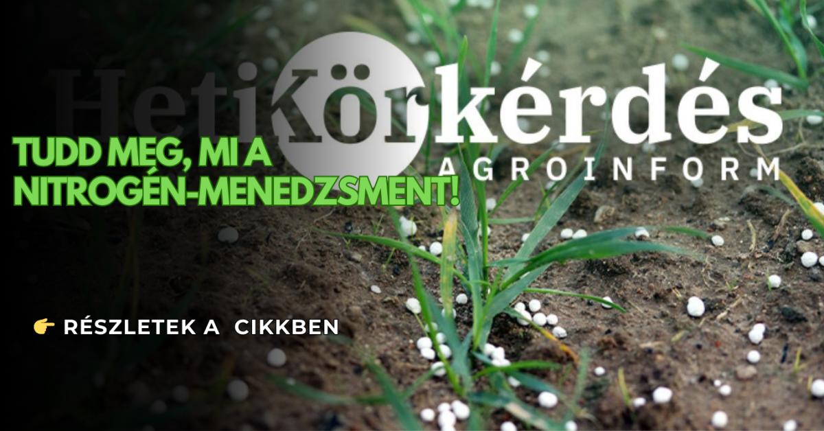 A nitrogén-menedzsment üdvöskéi – Heti Körkérdés A nitrogén-menedzsment üdvöskéi – Heti Körkérdés