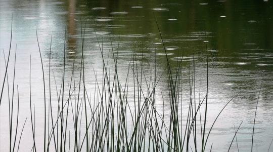 3 napos előrejelzés: Nagy esőre nem, csak kisebb felfrissülésre számíthatunk