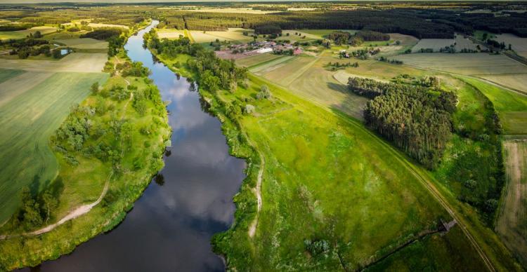 vizes élőhely
