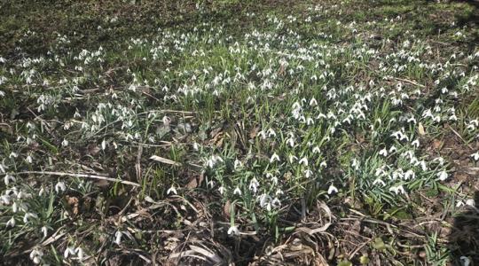 Időjárás: Hajnali mínuszok és erős széllökések bosszantják a gazdákat +VIDEÓ