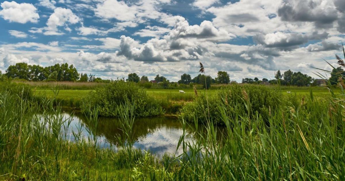 10 egyszerű módszer, amellyel több vizet tarthatunk a földeken 10 egyszerű módszer, amellyel több vizet tarthatunk a földeken