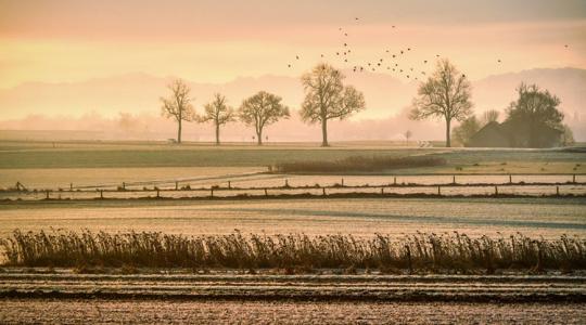 3 napos előrejelzés: Veszélyben a fagyérzékeny növényzet, mutatjuk, hol lesz a leghidegebb 3 napos előrejelzés: Veszélyben a fagyérzékeny növényzet, mutatjuk, hol lesz a leghidegebb
