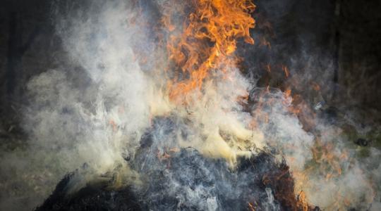 Tombolnak a lángok Kaba mellett: mentik a szarvasmarhákat a tűzoltók Tombolnak a lángok Kaba mellett: mentik a szarvasmarhákat a tűzoltók