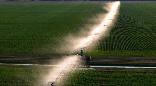 Másodpercenként 500 liter: nem maradnak víz nélkül a dél-alföldi gazdák Másodpercenként 500 liter: nem maradnak víz nélkül a dél-alföldi gazdák