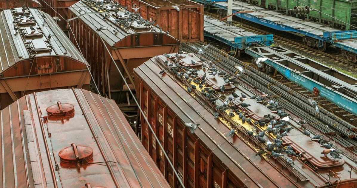 Leállt az ukrán tengeri export; jön a szárazföldi gabonadömping? Leállt az ukrán tengeri export; jön a szárazföldi gabonadömping?