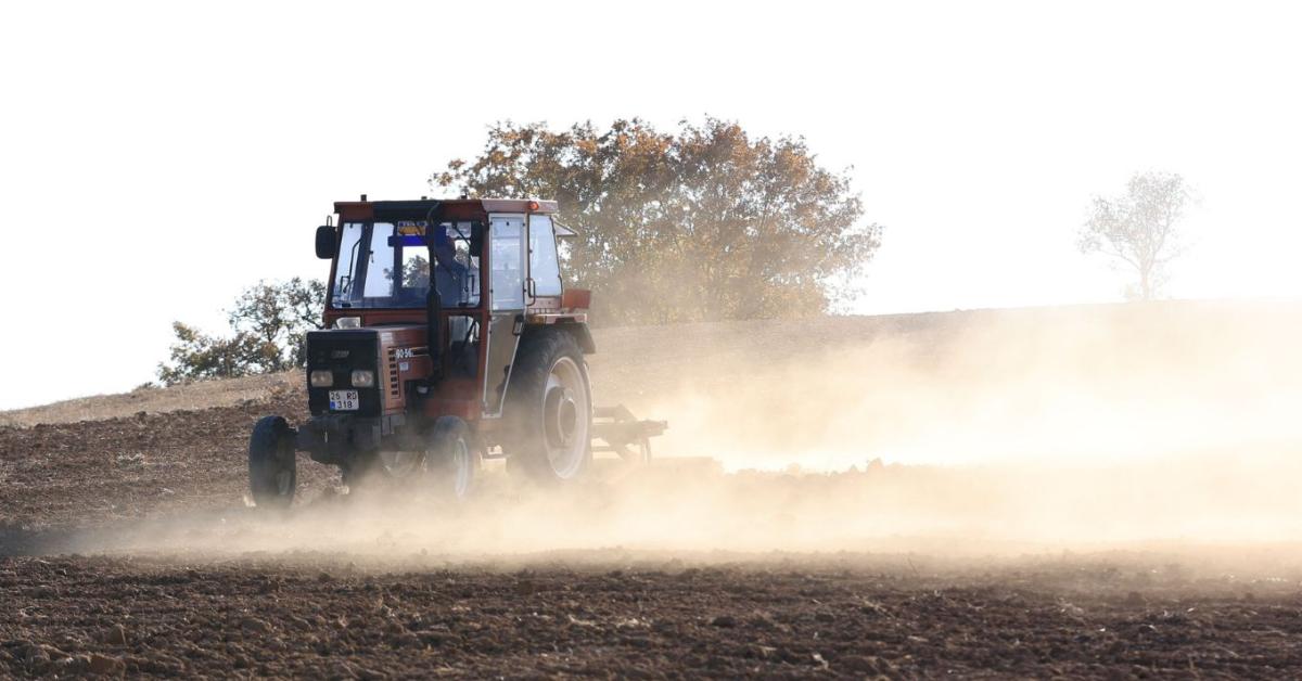 Bajban a mezőgazdaság, ijesztő számok láttak napvilágot – kemény üzenetet küldött a KSH Bajban a mezőgazdaság, ijesztő számok láttak napvilágot – kemény üzenetet küldött a KSH