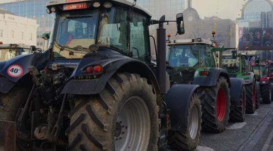 Amikor a munka már csak viszi a pénzt: Miért telt be a pohár a szerb gazdáknál?