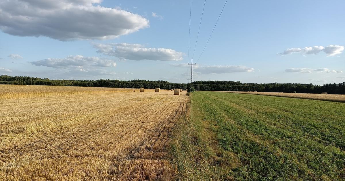 Vasárnapra ismét labilissá válik az időjárás Vasárnapra ismét labilissá válik az időjárás