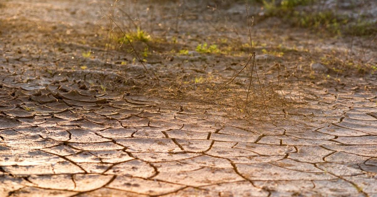 Kiderült, mi mentheti meg a Földet a globális megaaszálytól Kiderült, mi mentheti meg a Földet a globális megaaszálytól