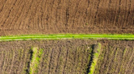 Eladnák a magánutat: mit tehet az azt hosszú évek óta használó és karbantartó gazda? Eladnák a magánutat: mit tehet az azt hosszú évek óta használó és karbantartó gazda?