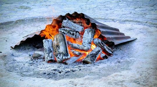 Hamu a kertben: februárban hova teheted, és hova TILOS? Hamu a kertben: februárban hova teheted, és hova TILOS?